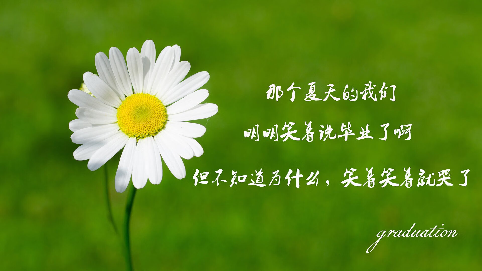 开云中国大陆-青年篮球运动员心理素质培养获重视，篮球运动员心理素质的重要性