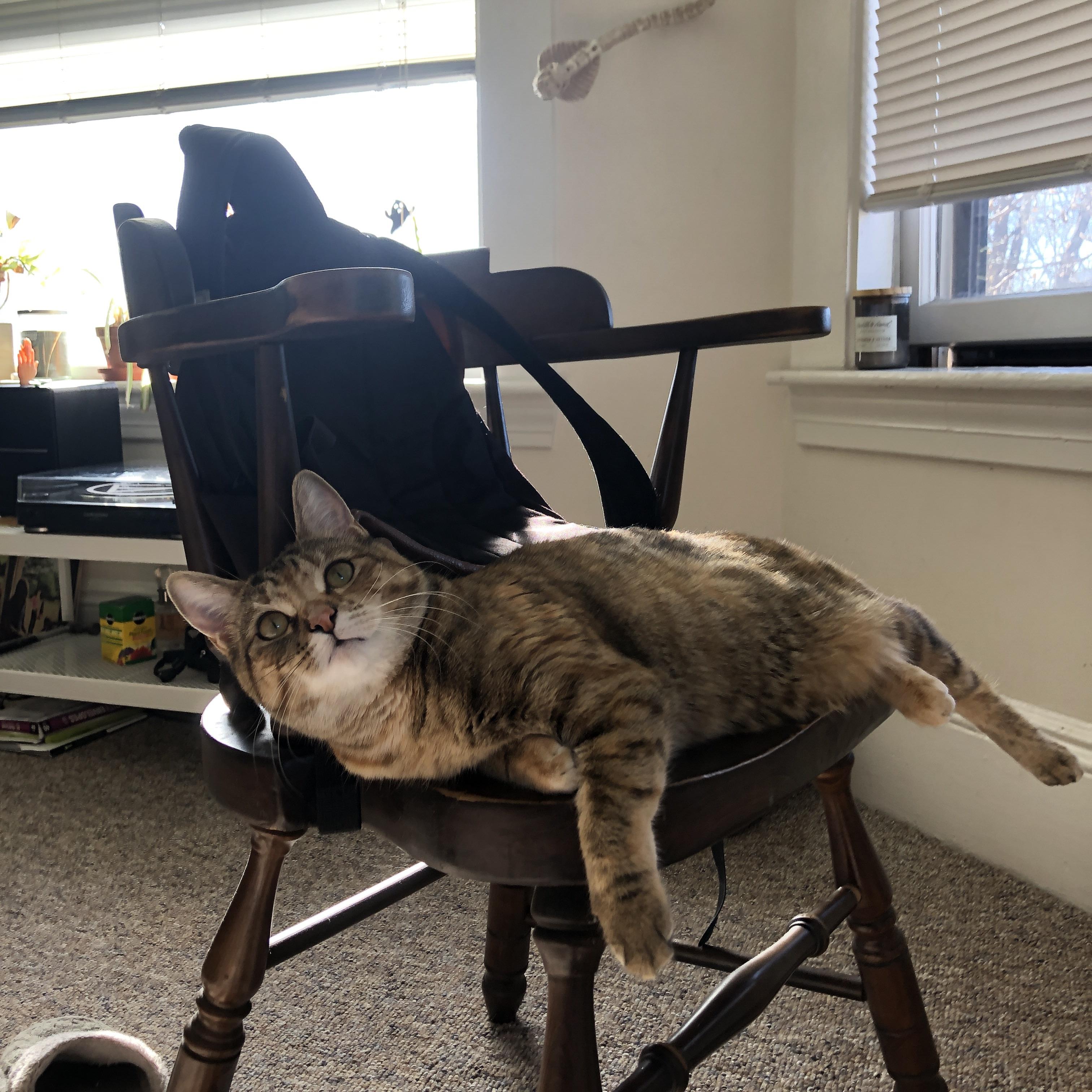 特色竞技：不同国家足球特色的深度解析，各国足球联赛特点