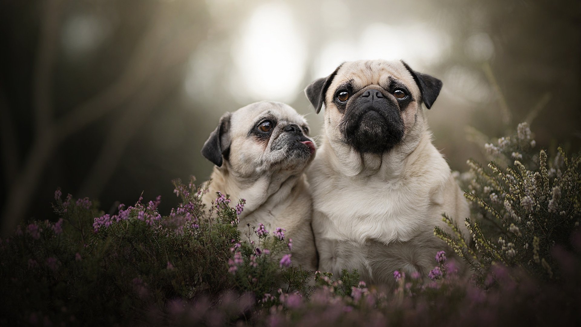 五大联赛是否出现中后场反抢反击成功率提升趋势，五大联赛后卫