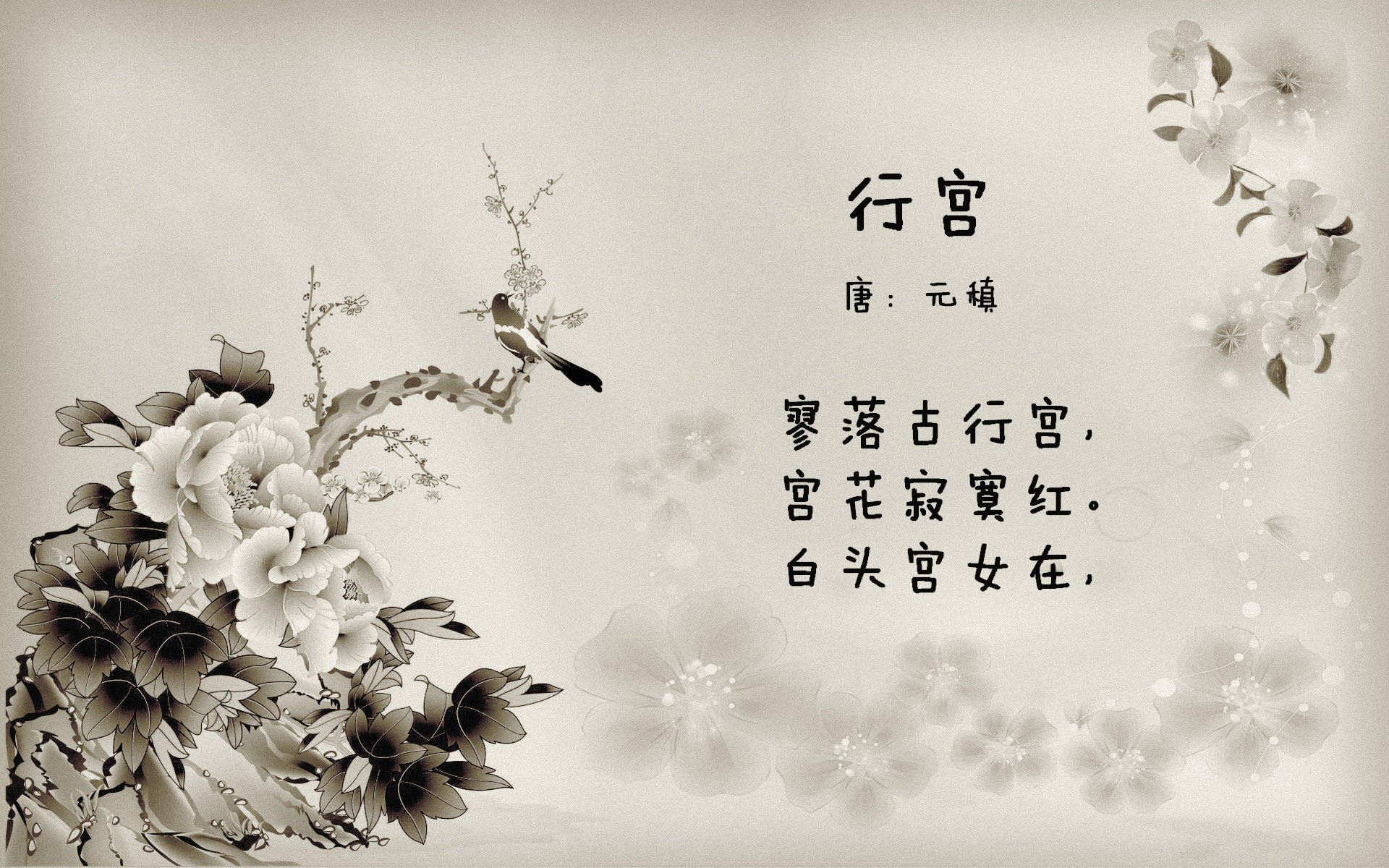 国际乒联混合团体世界杯:如何评价中国香港队的技术表现与战术调整