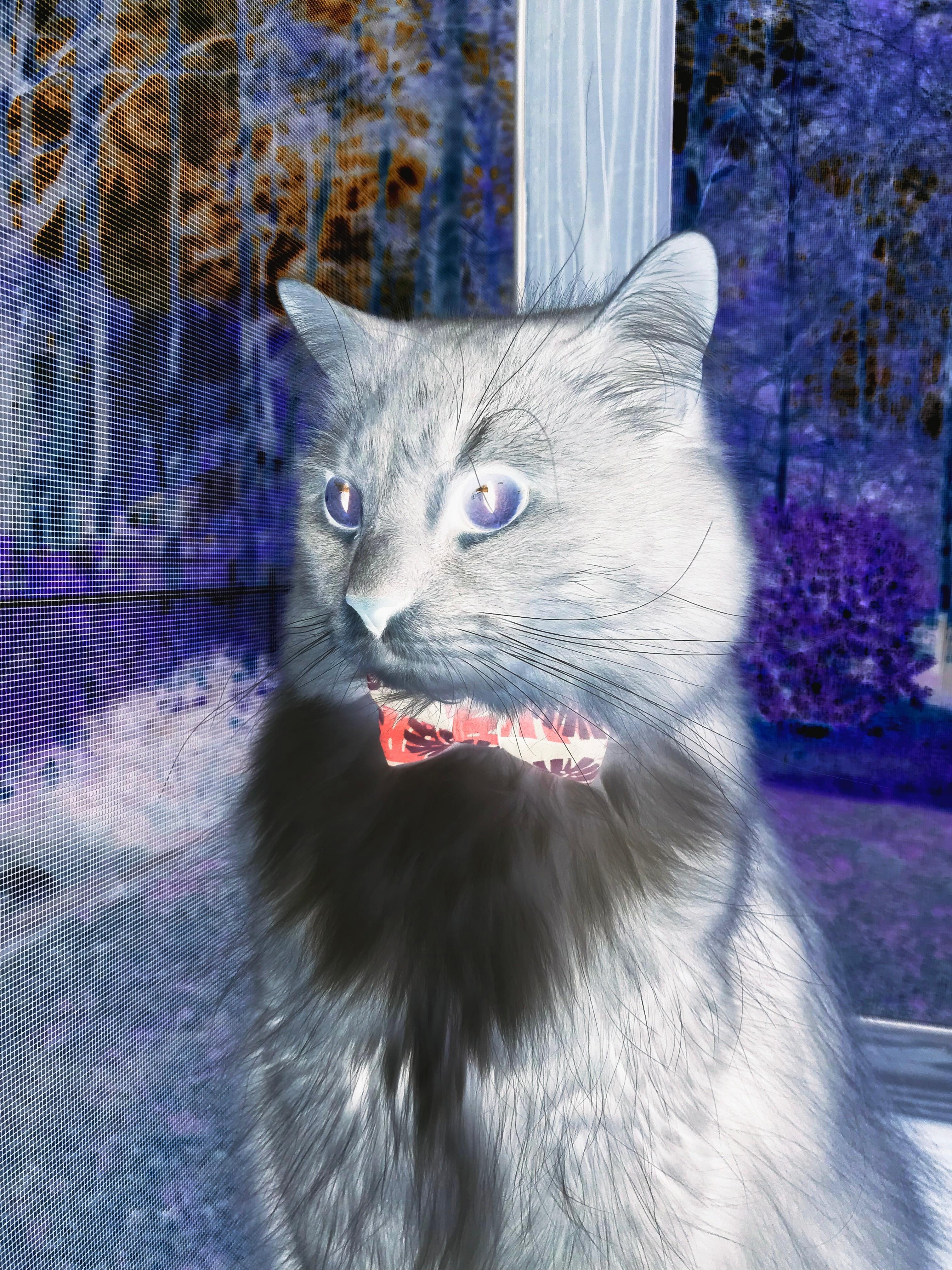 开云官方-德甲激烈争夺：攻守精彩大比拼，德甲防守