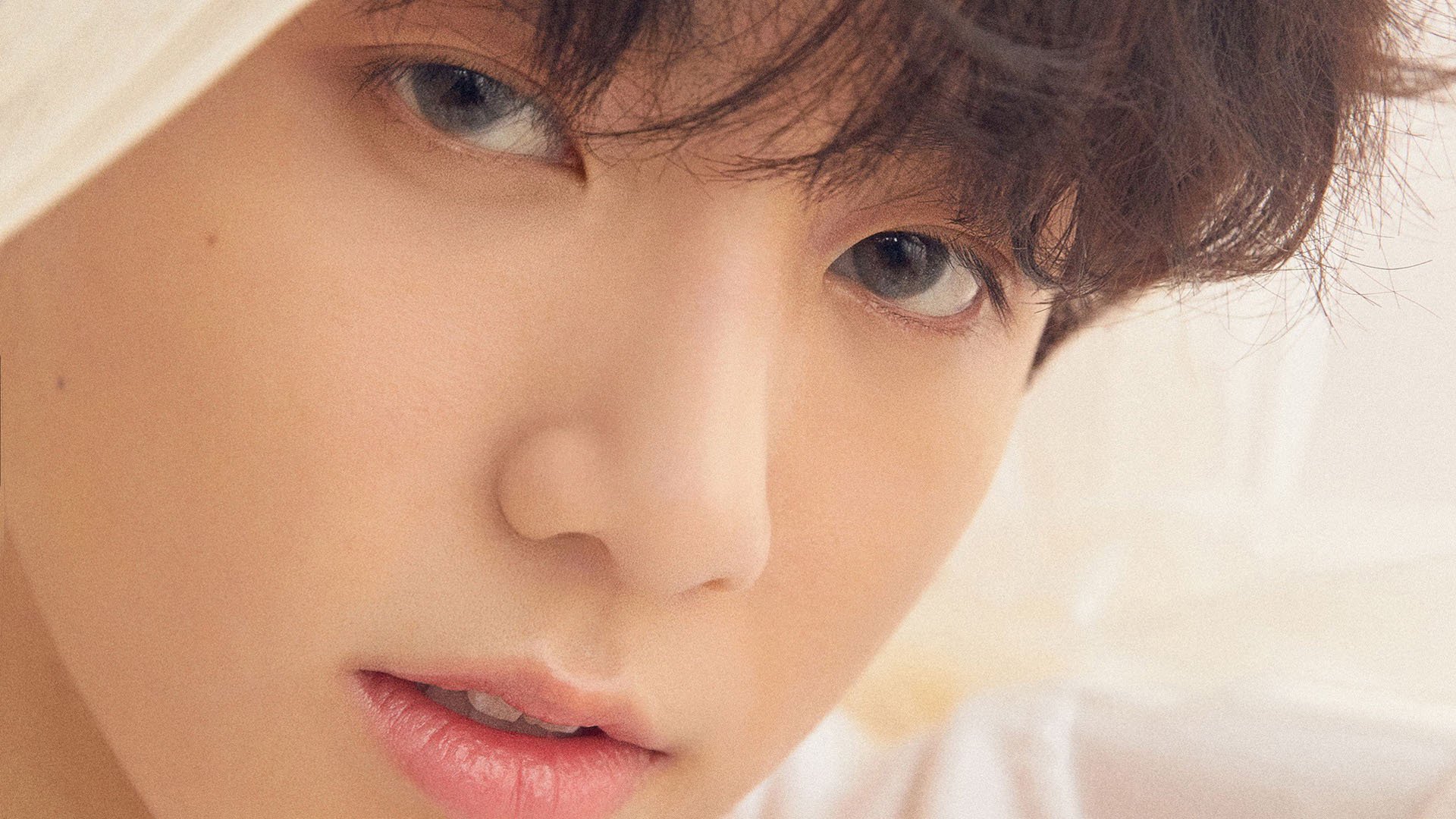 德甲超级反击：速度与力量的完美结合，德甲超级杯