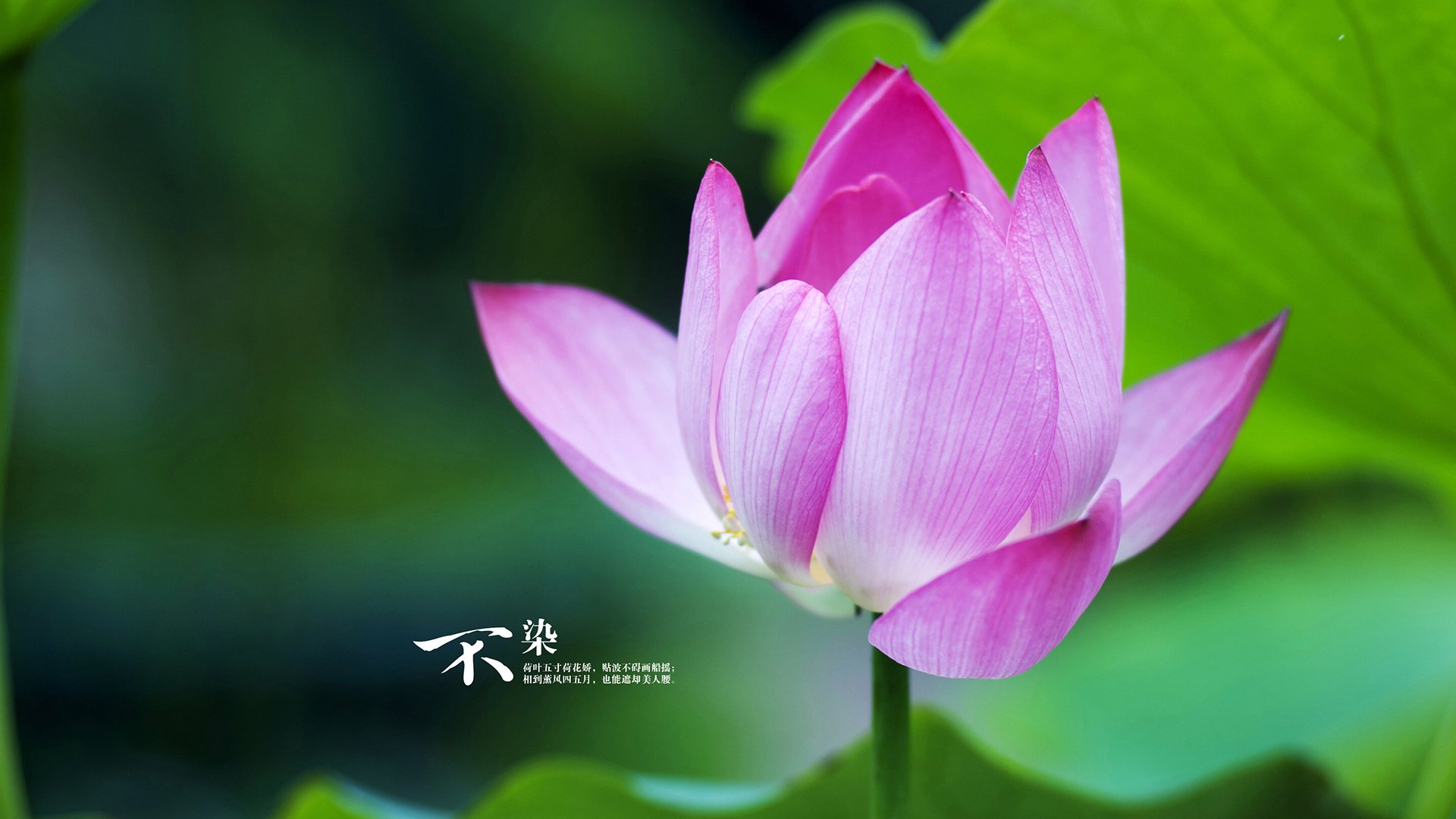 kaiyun官方入口登录-数字化足球训练社区平台成为青少年成长的新阵地，数字足球怎么画