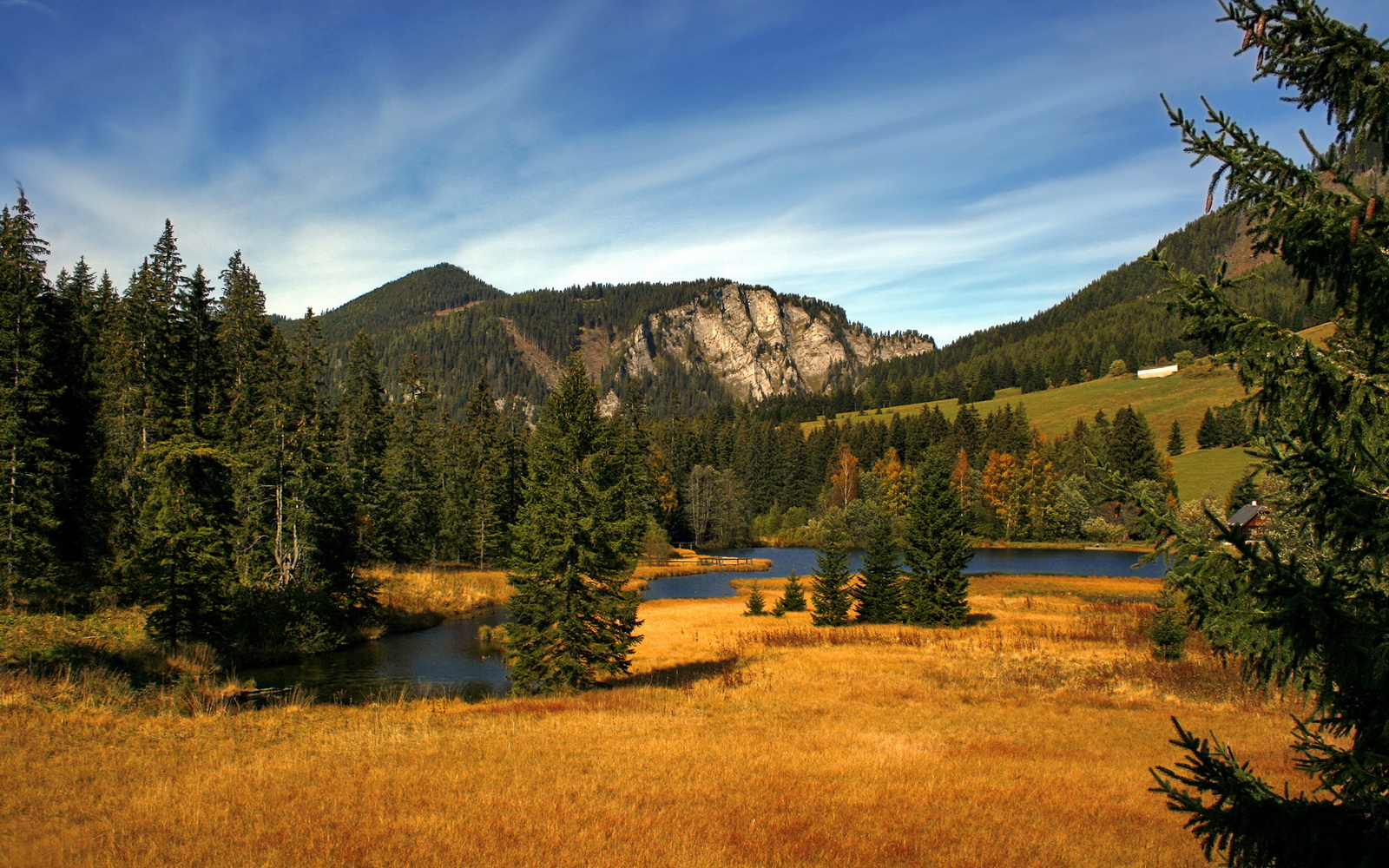 美洲杯激情夜：明星云集，精彩纷呈，美洲杯经典比赛