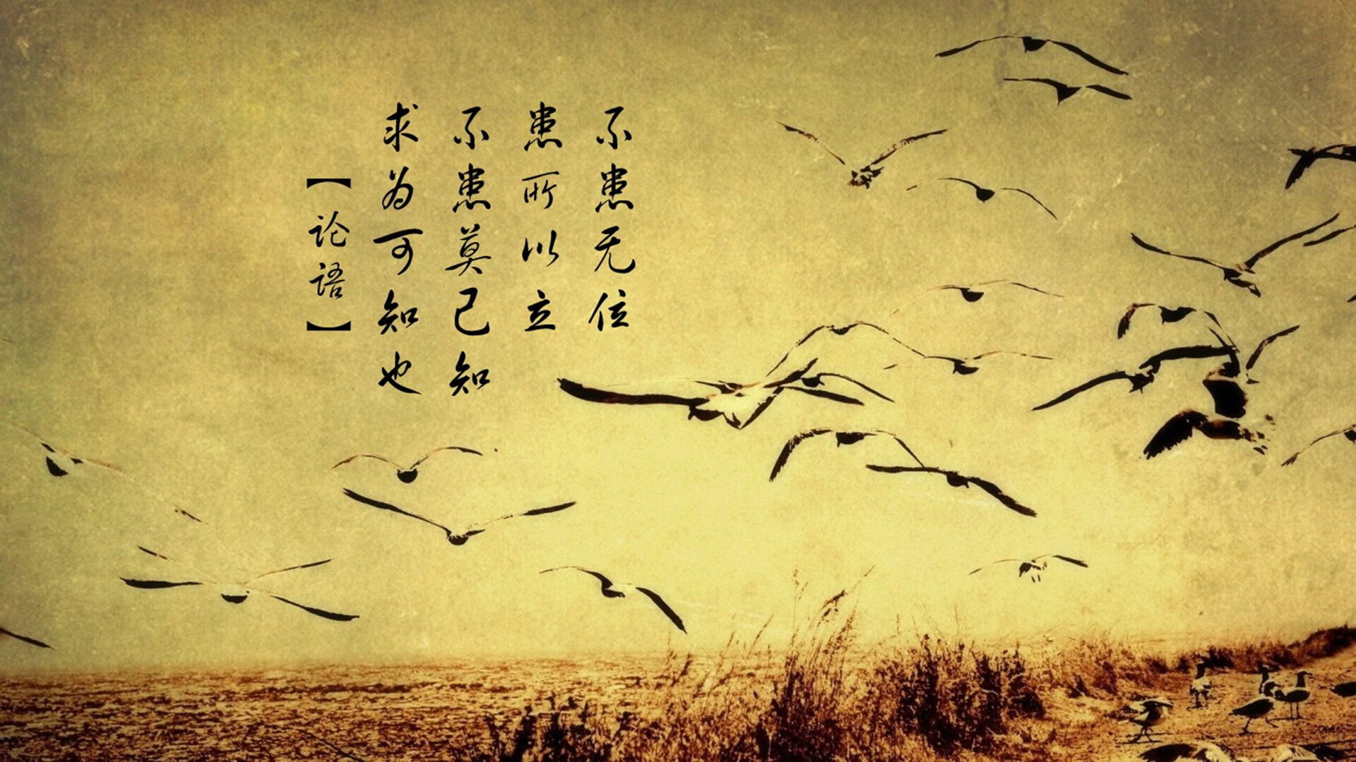 职业联赛增设球员行为规范强化职业素养，职业联赛的要求