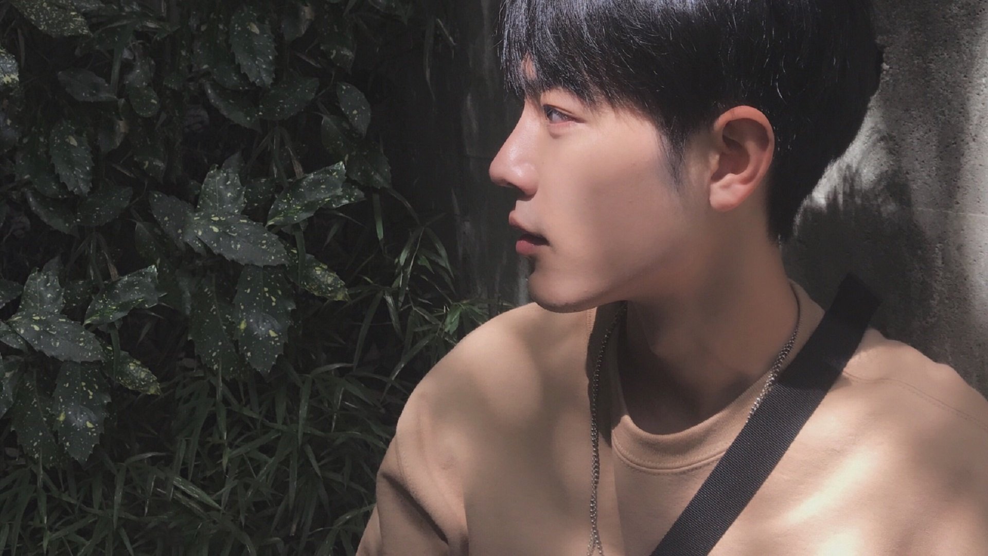 足球明星签署年度公益合约，推动青少年体育教育，足球明星签约价格