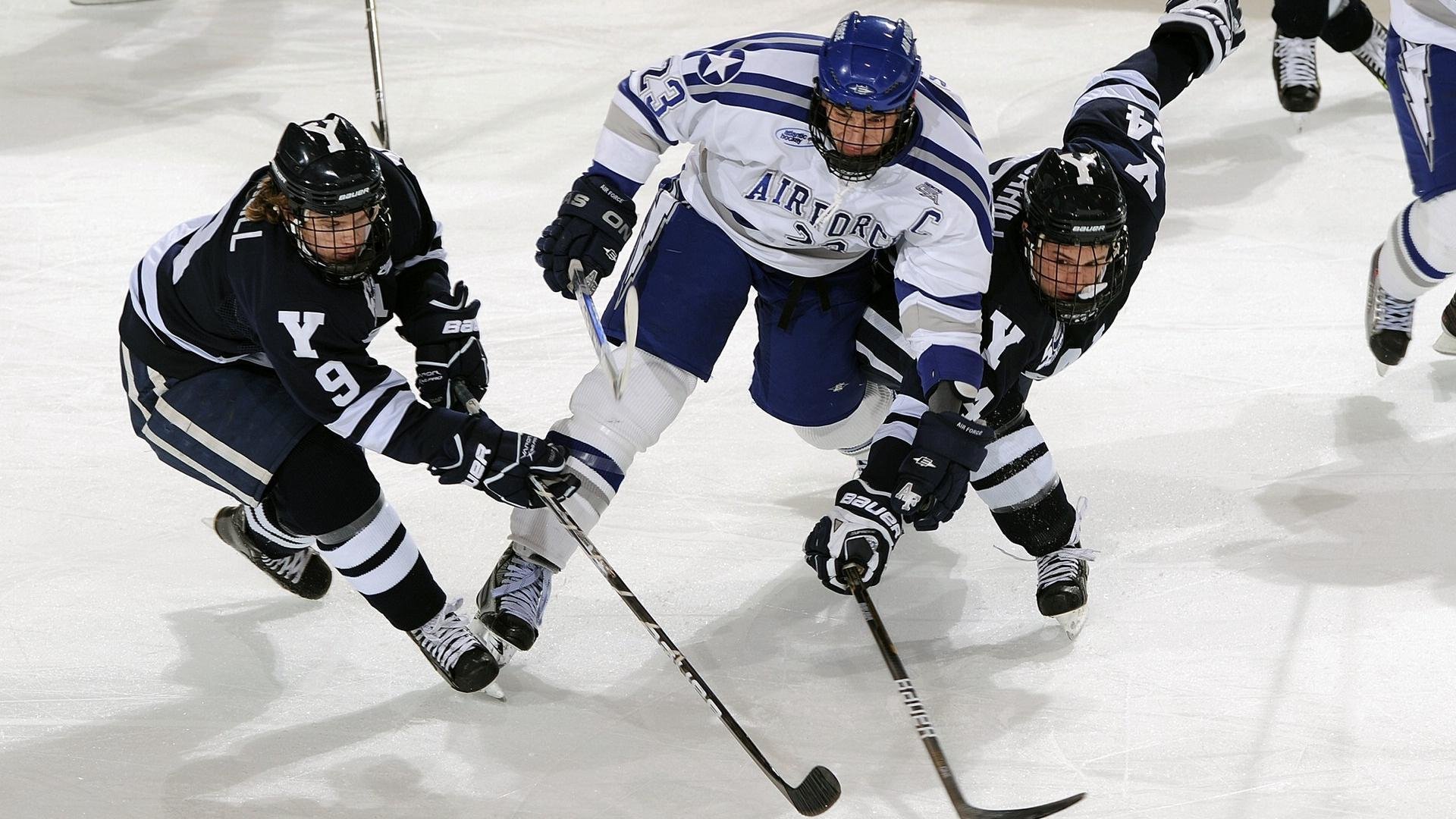 运动员康复训练技术支持,运动员康复训练技术支持方案